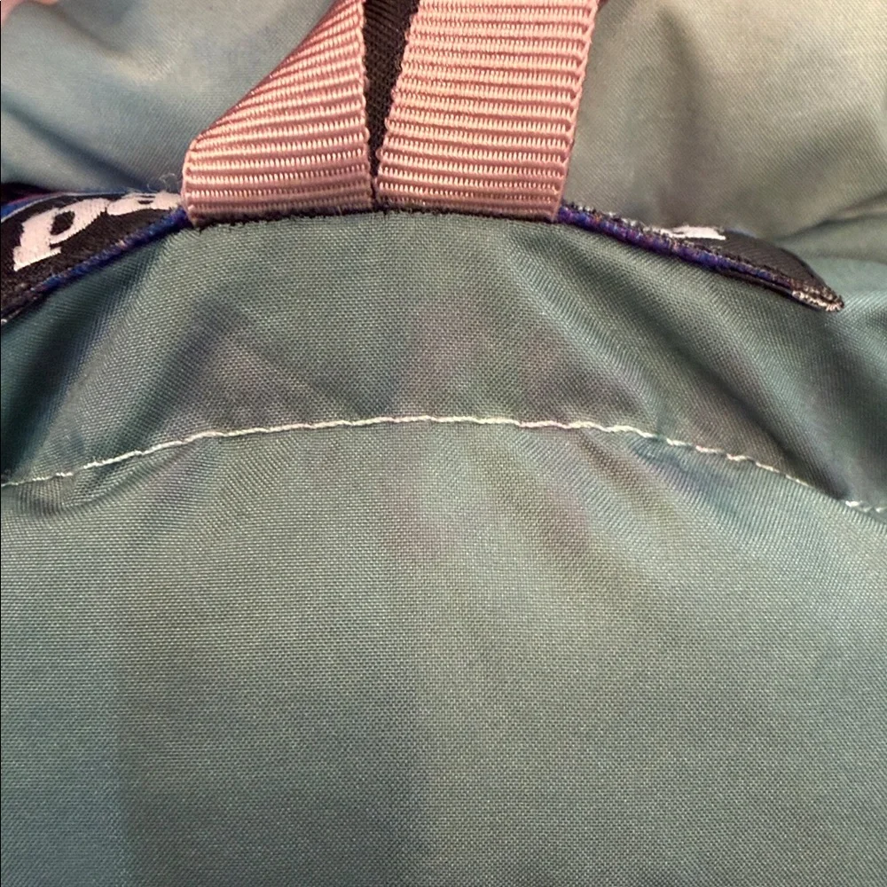 Patagonia‎ kids buffalo print down coat jacket 2T